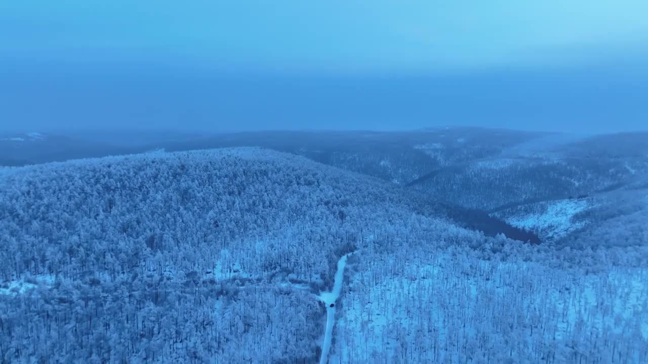 航拍大兴安岭黎明林海雪原视频素材