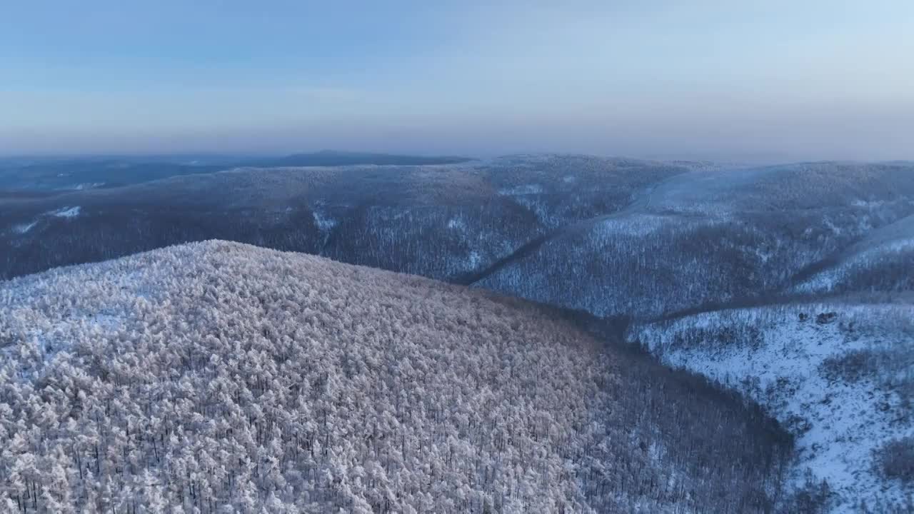 航拍大兴安岭黎明林海雪原视频素材