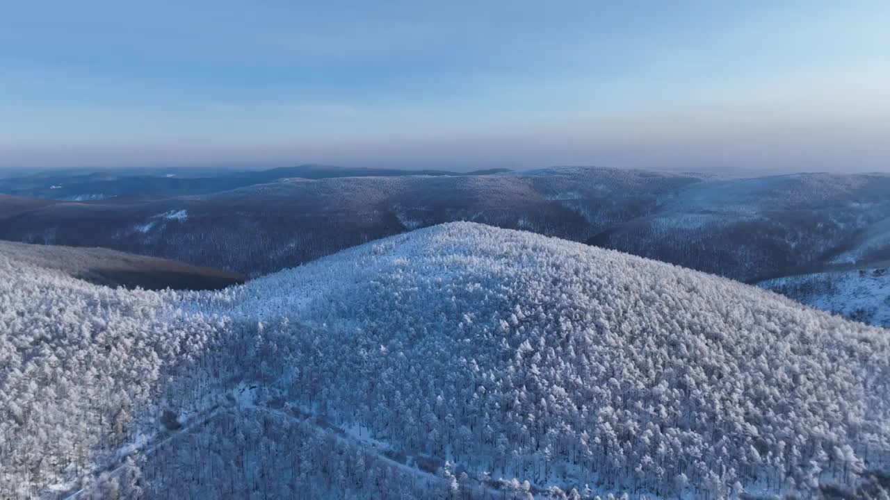 航拍大兴安岭黎明林海雪原视频素材