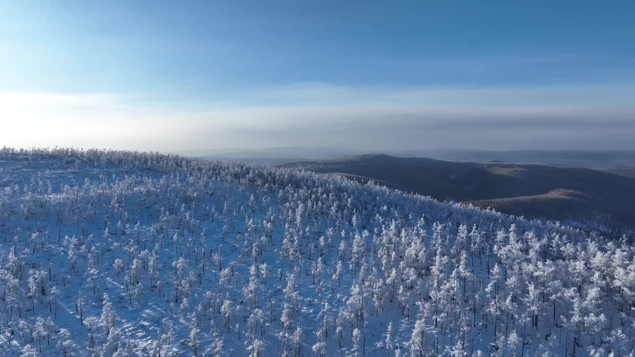 航拍大兴安岭黎明林海雪原视频素材