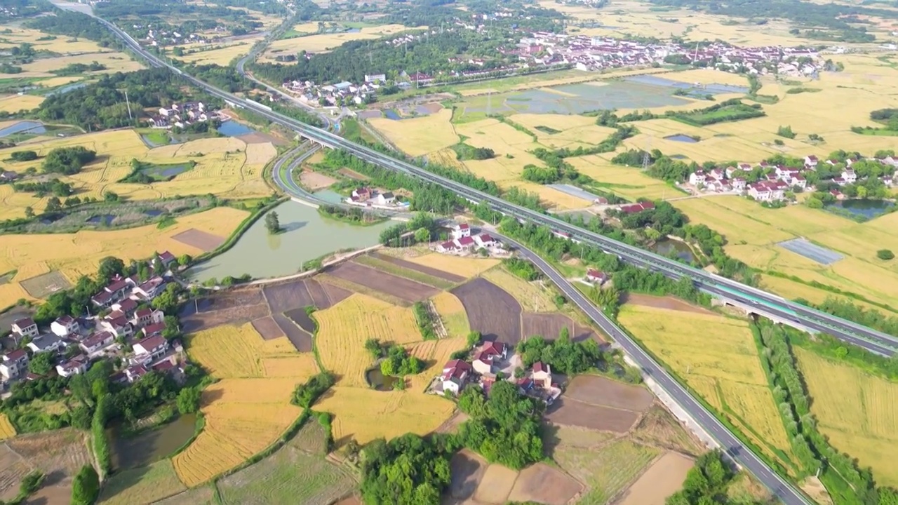 航拍中国安徽省宣城市郎溪县凌笪镇夏日田园风光视频素材