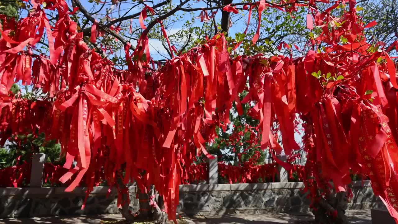 寺庙寺院祈福祈愿的红飘带和许愿树传统文化视频素材