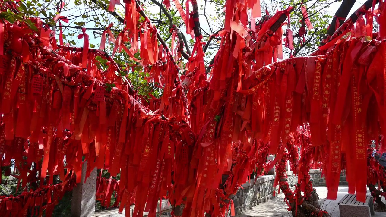 寺庙寺院祈福祈愿的红飘带和许愿树传统文化视频素材