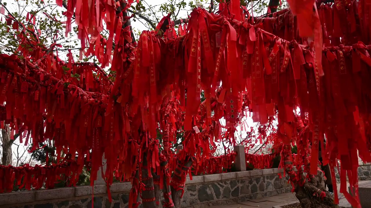 寺庙寺院祈福祈愿的红飘带和许愿树传统文化视频素材