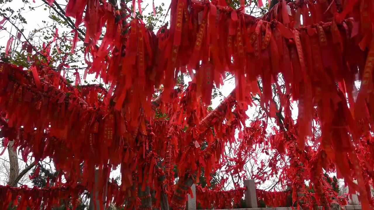 寺庙寺院祈福祈愿的红飘带和许愿树传统文化视频素材