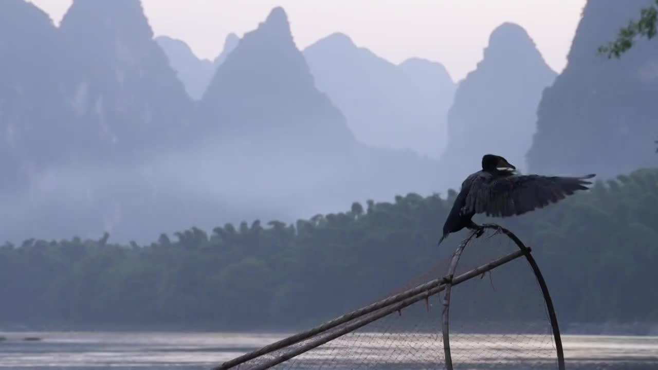 桂林山水漓江鱼鹰视频素材