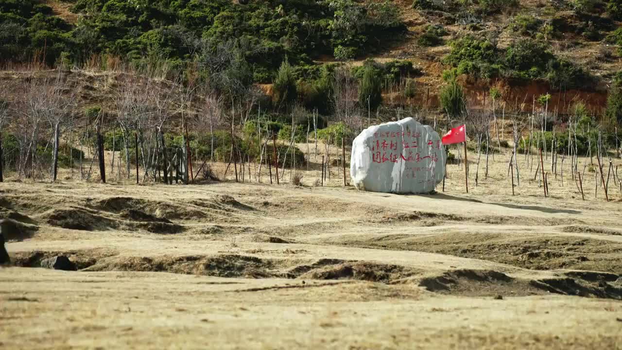 4K藏区草原牦牛素材视频下载