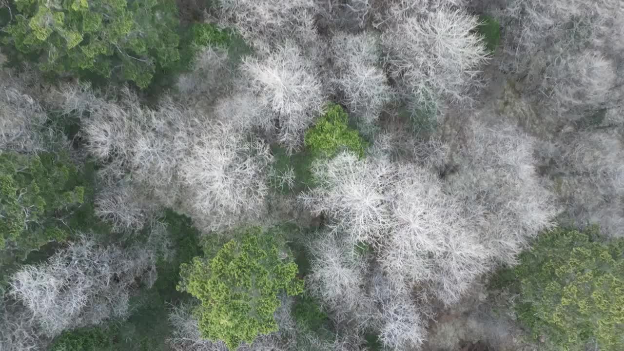 秦岭主峰太白山风光视频素材