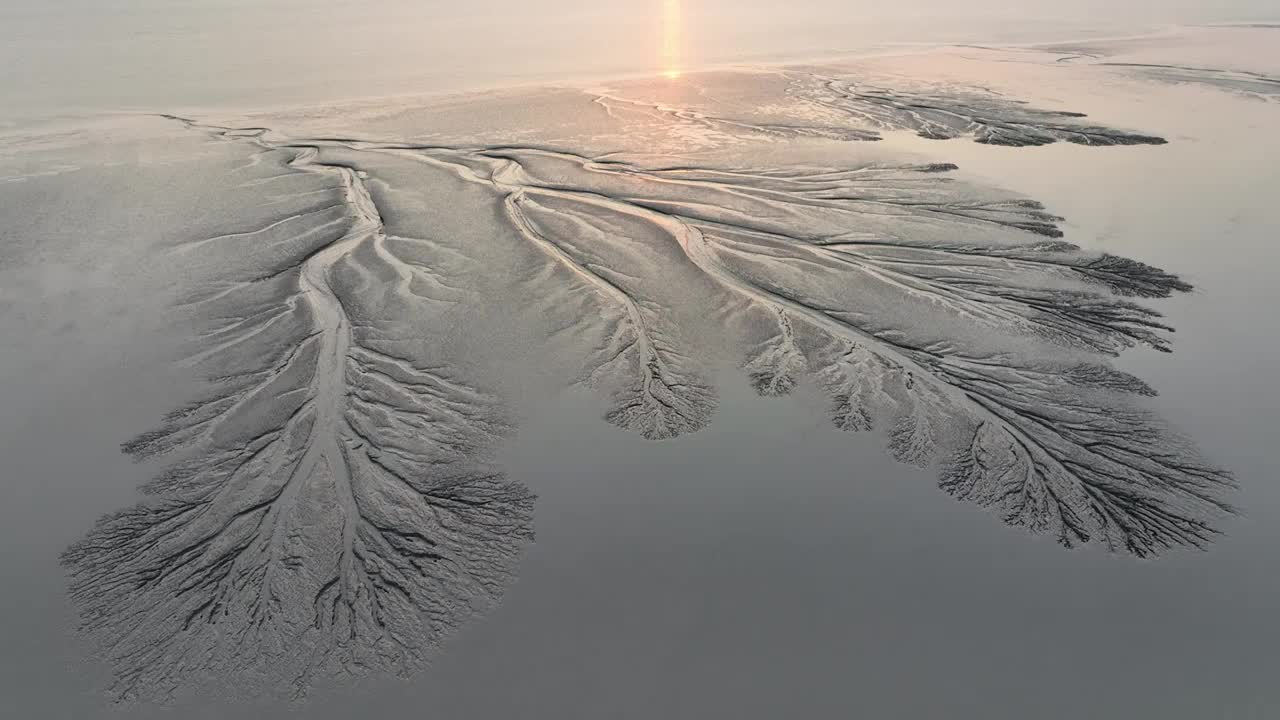 浙江嘉兴市海宁钱塘江夕阳下的潮汐树航拍视频素材