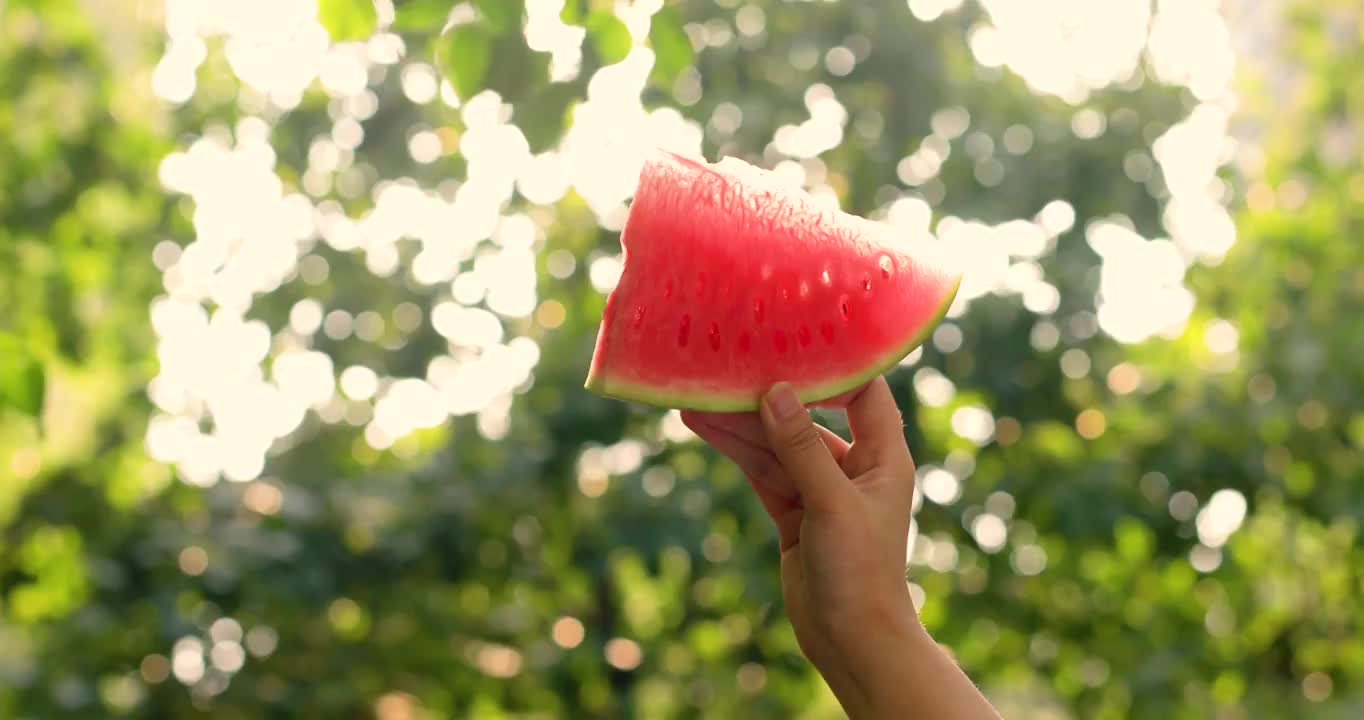 夏天风景与夏季节气书法合集（选编）视频素材