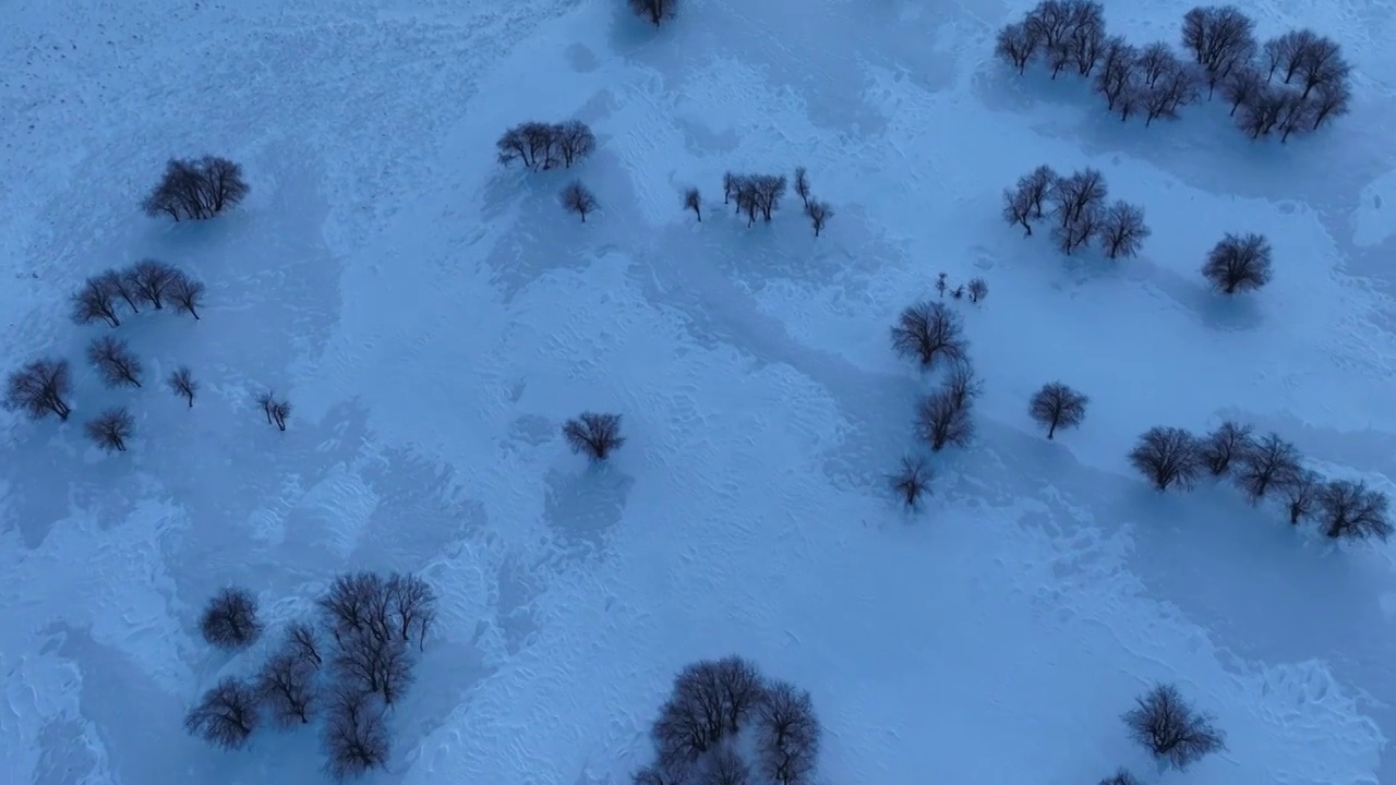 航拍亚洲第一湿地雪景暮色视频素材