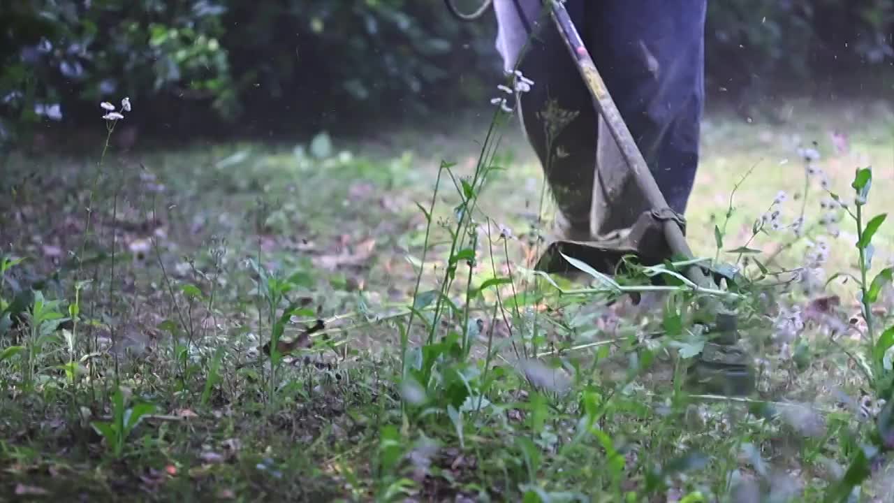 除草视频素材