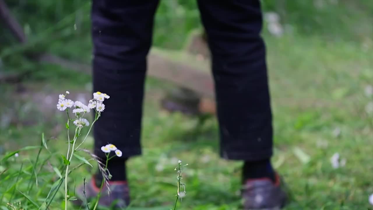 除草视频素材