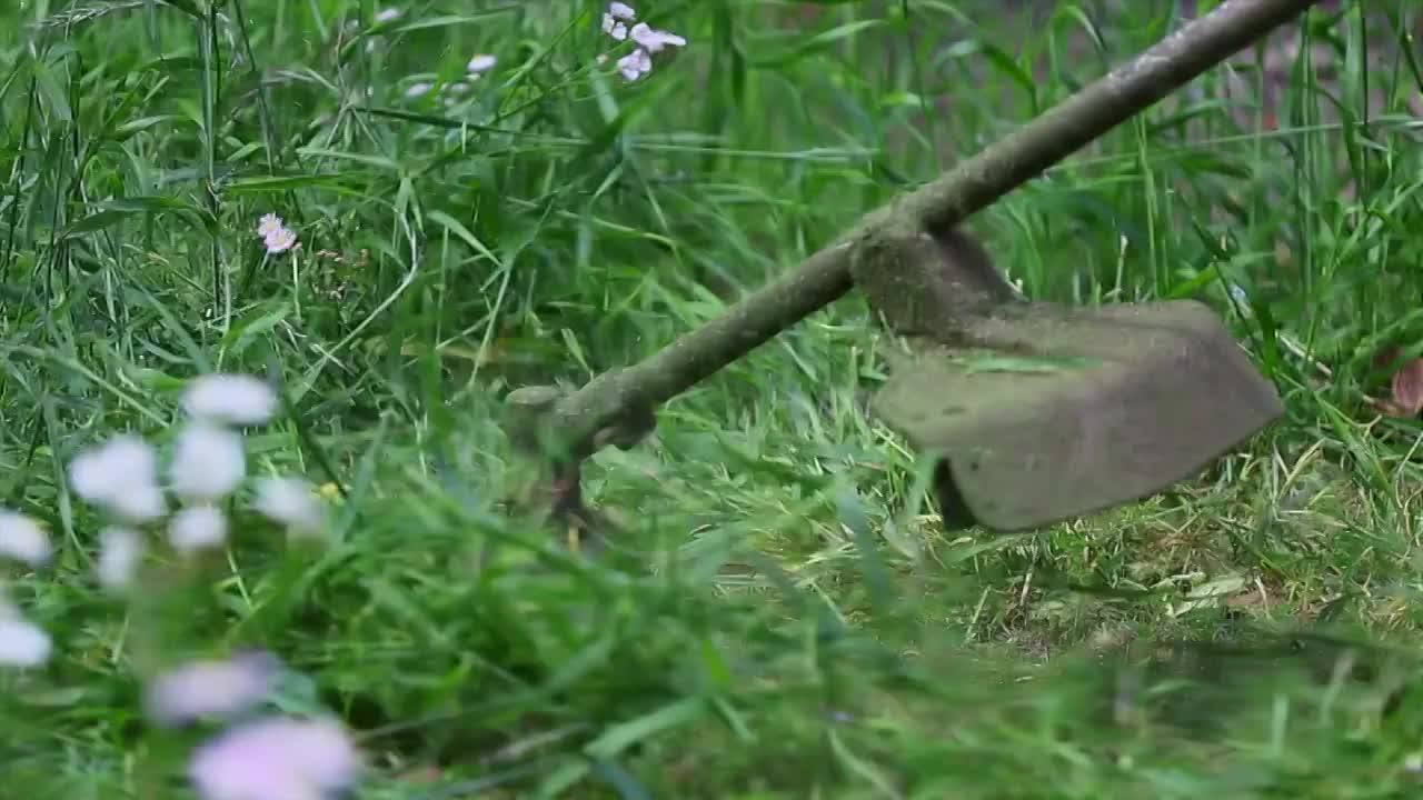 除草视频素材