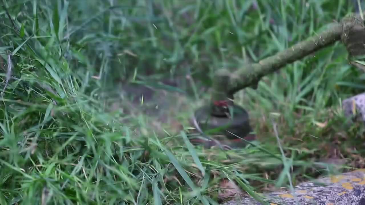 除草视频素材