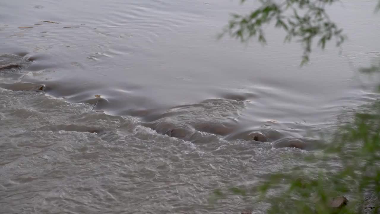 黄河 流水 溪流 河流 小溪 河 水视频下载