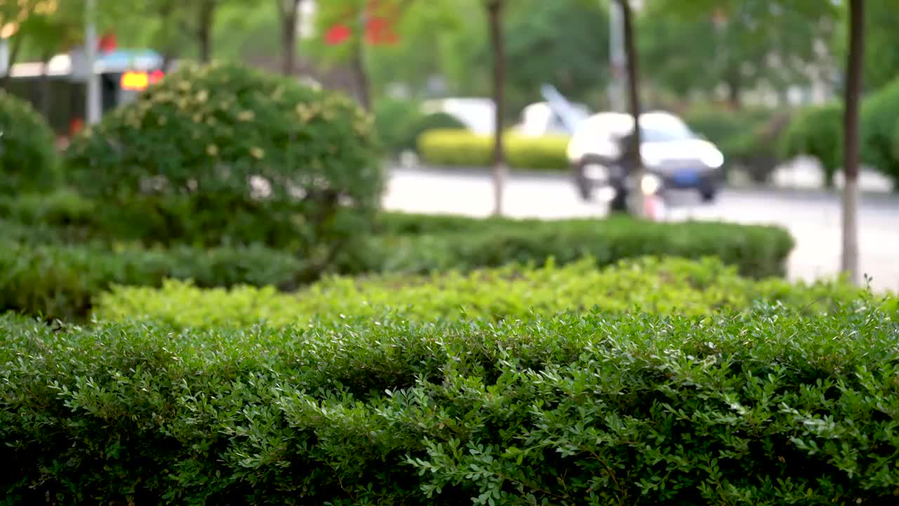 车流 城市 现代 交通 市区 街道视频素材