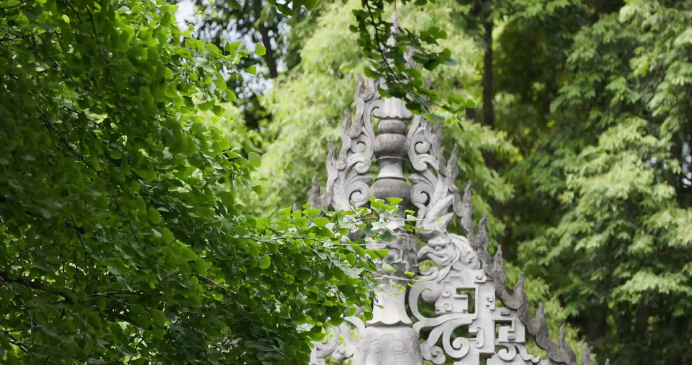 杜甫草堂大门屋脊视频素材