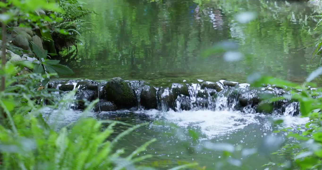 清澈见底的小溪流视频下载