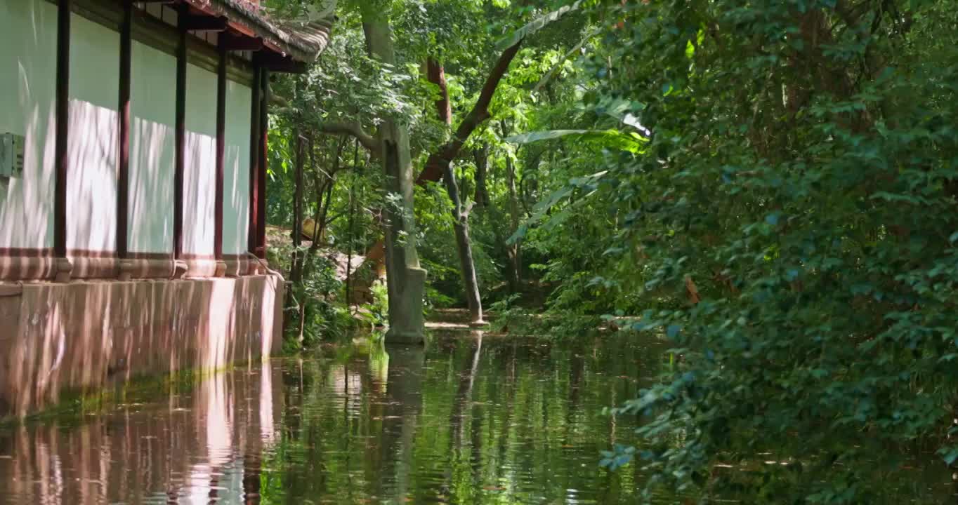 成都杜甫草堂池塘视频素材