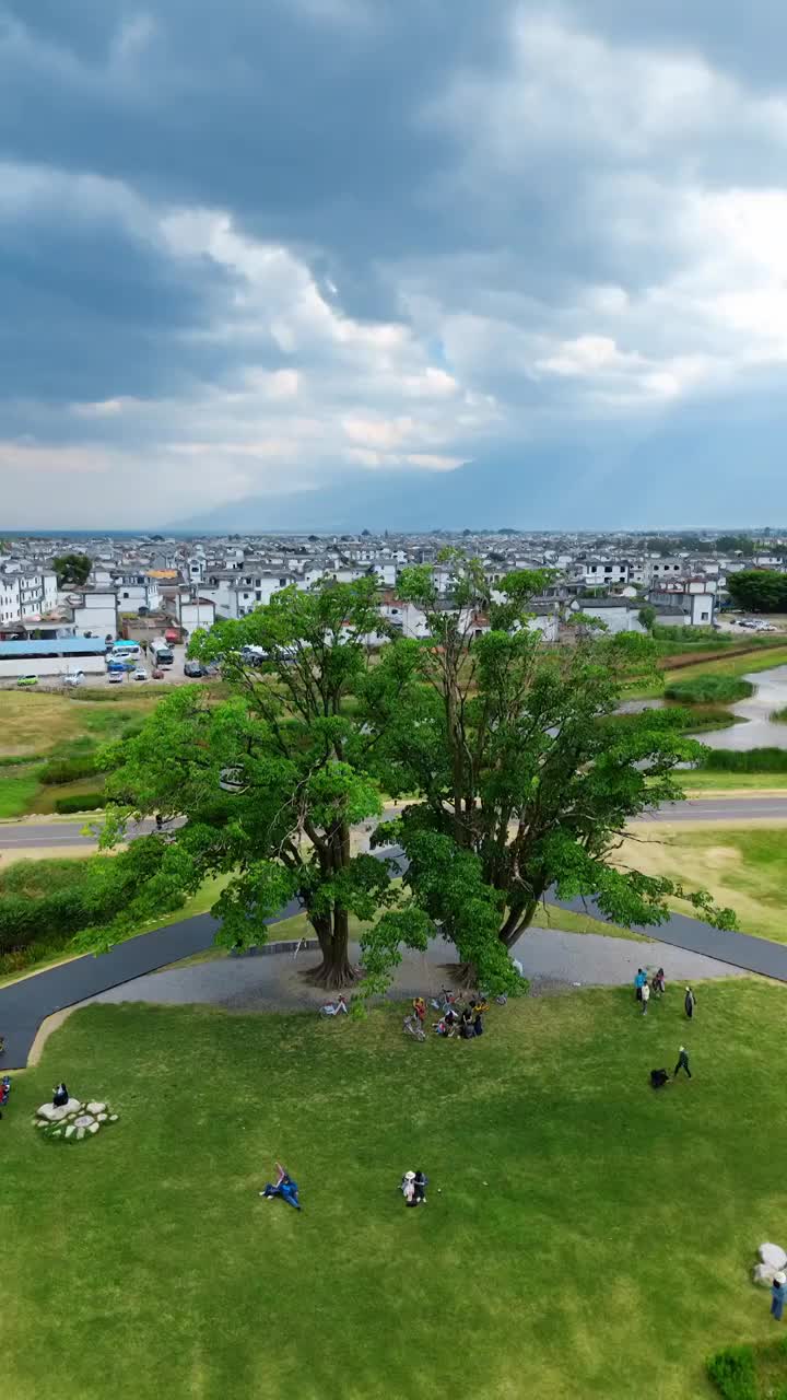 航拍大理喜洲夏日风光视频素材