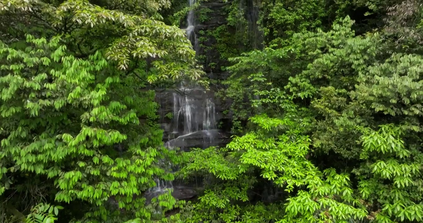 高山流水密林小溪林间瀑布唯美风景视频素材