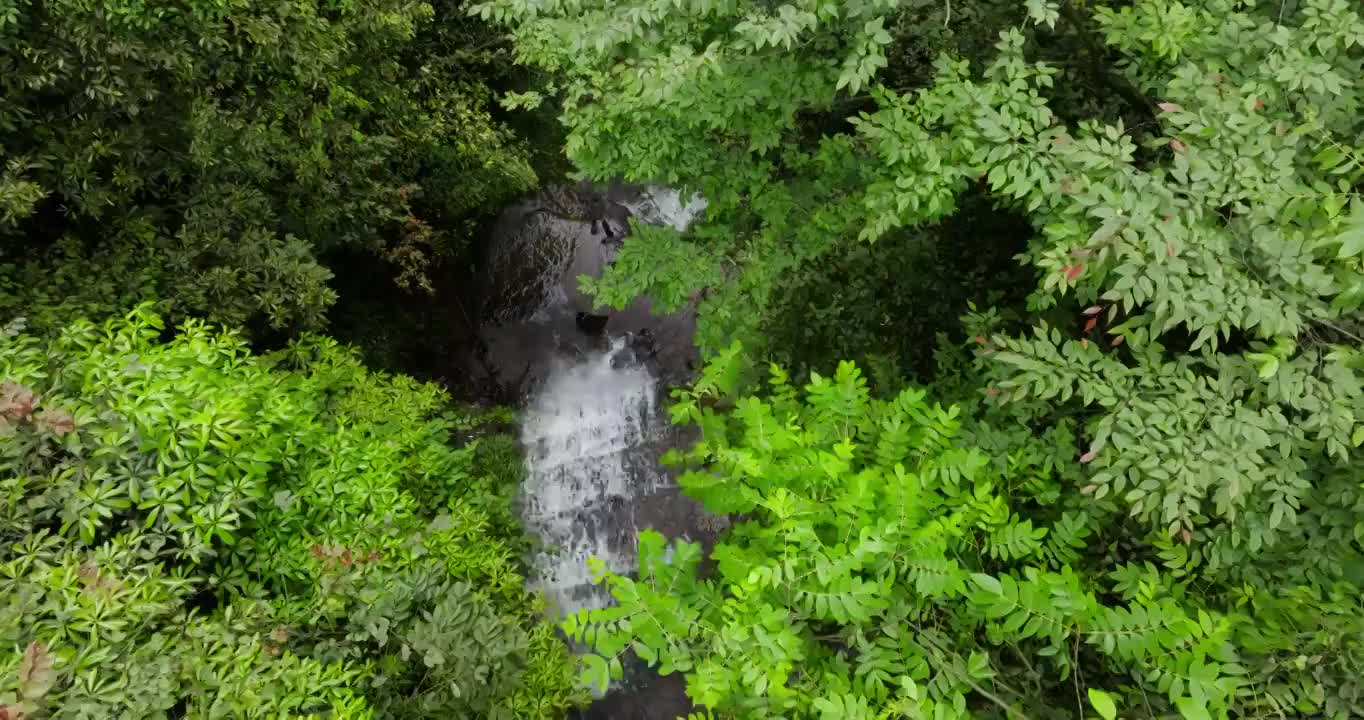 高山流水密林小溪林间瀑布唯美风景视频素材