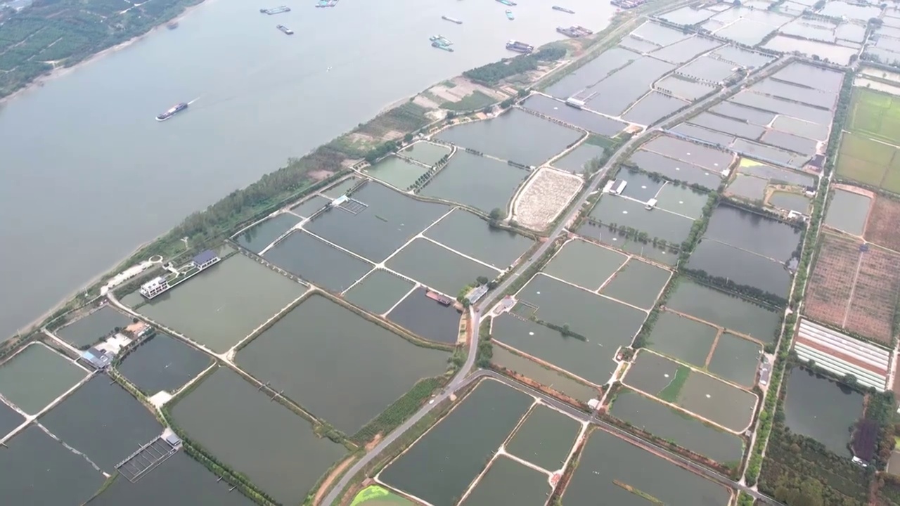 杭州富阳五丰岛自然风光航拍视频素材