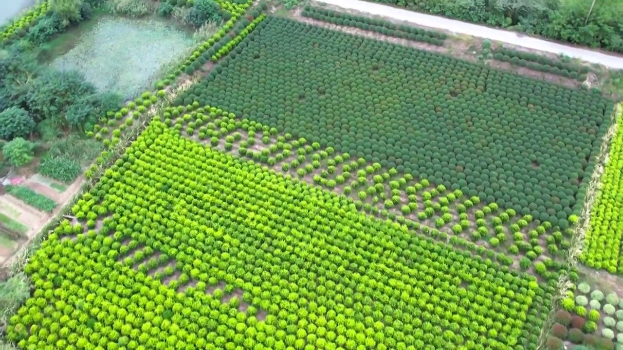 田园园艺种植基地航拍视频素材