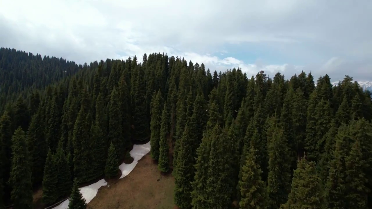 新疆维吾尔自治区,江布拉克,雪山,草地,峡谷,航拍视频素材