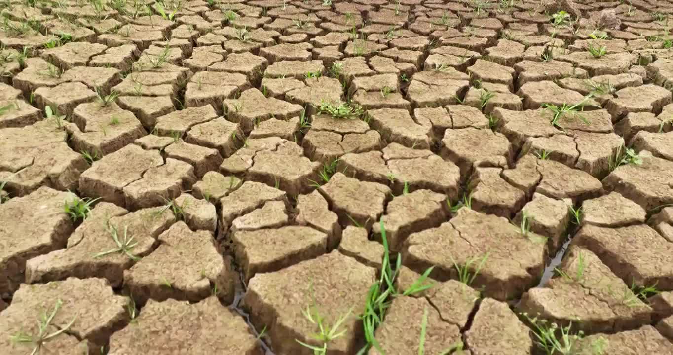 夏天 龟裂 土地 生长 青草 雨水视频素材