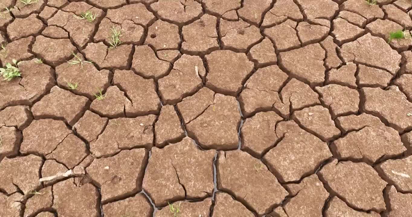 夏天 龟裂 土地 生长 青草 雨水视频下载