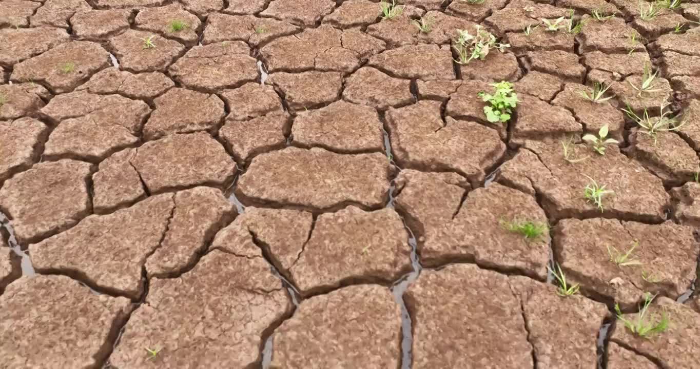 夏天 龟裂 土地 生长 青草 雨水视频下载