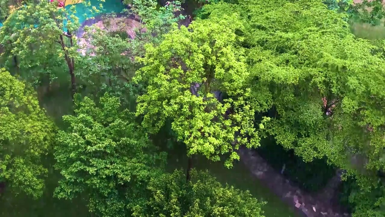 夏日雨季极端天气狂风暴雨下大雨端午节龙舟水视频素材