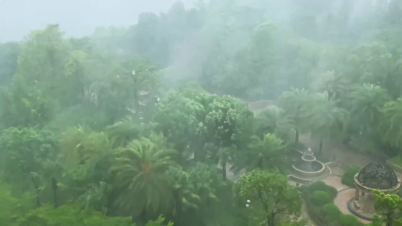 夏日雨季极端天气狂风暴雨下大雨端午节龙舟水视频素材