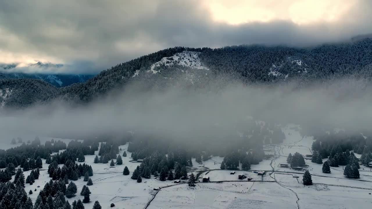 鲁朗小镇扎西岗村视频素材