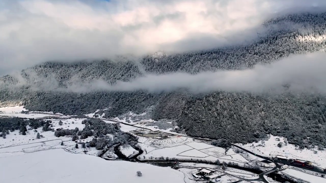 鲁朗小镇扎西岗村视频素材