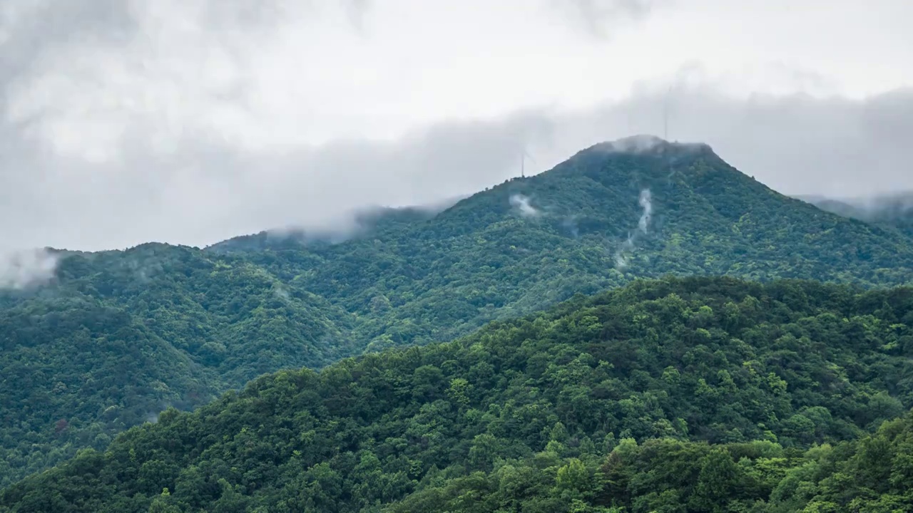 8K山脉森林云海自然风景延时视频素材