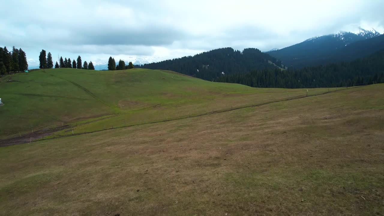 新疆维吾尔自治区,江布拉克,雪山,草地,峡谷,航拍视频素材