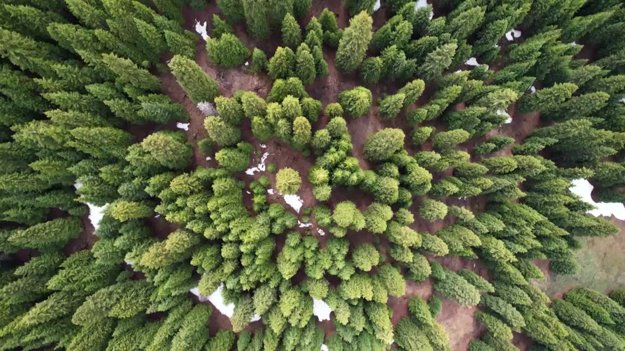 新疆维吾尔自治区,江布拉克,雪山,草地,峡谷,航拍视频素材