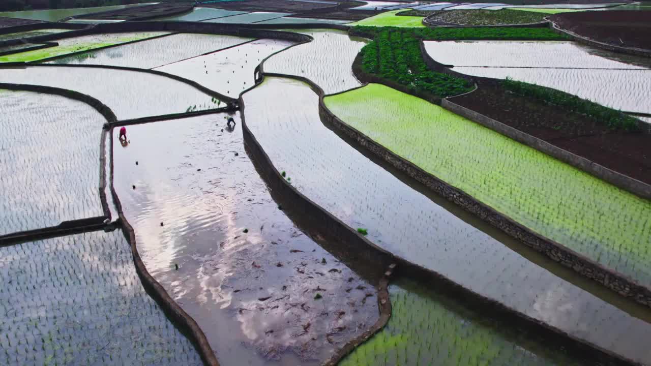 万峰林插秧季节视频素材