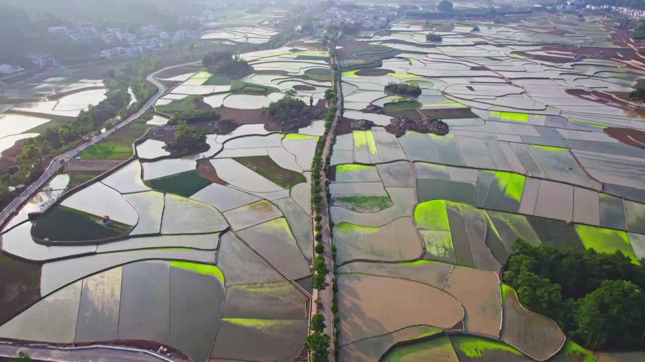 万峰林插秧季节稻谷稻田视频素材