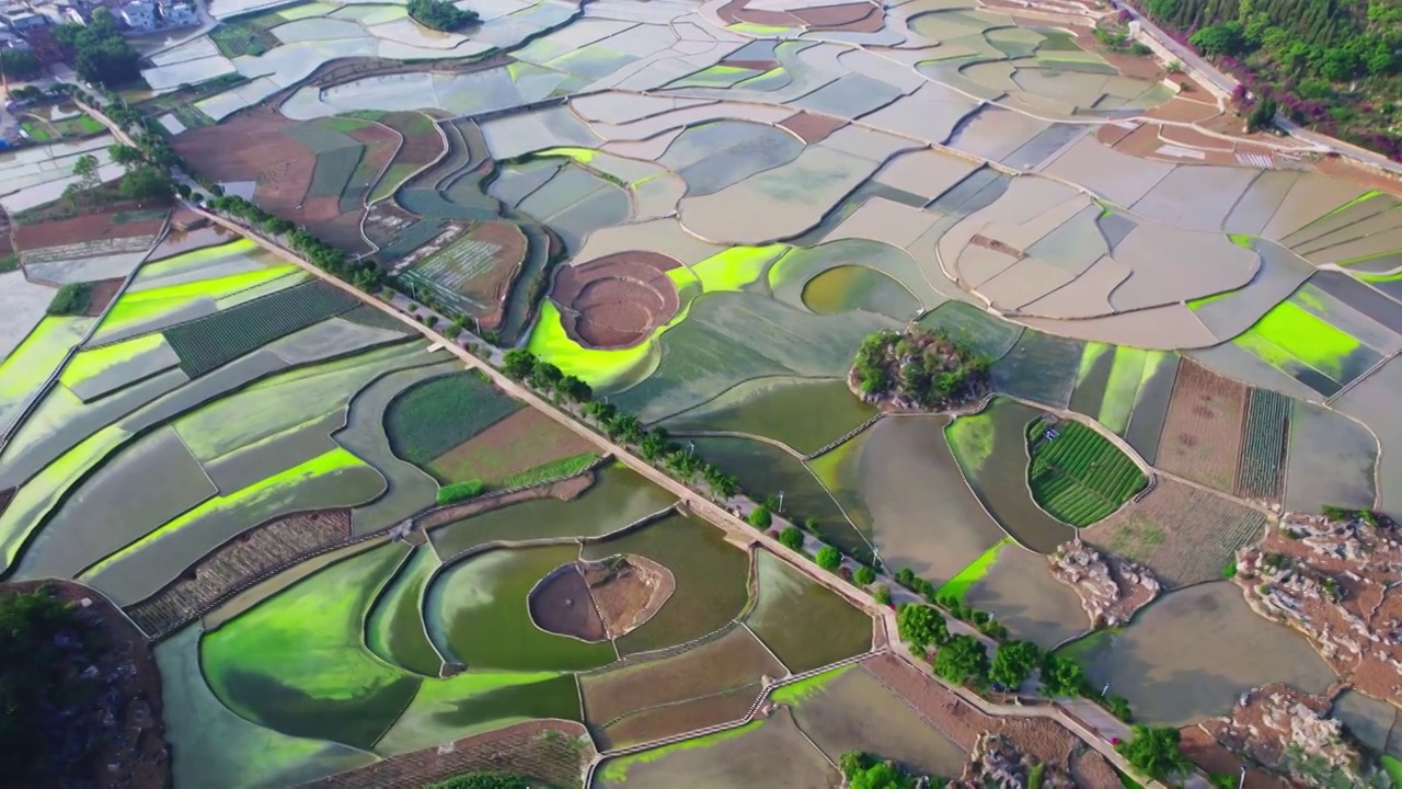 万峰林插秧季节稻谷稻田视频素材