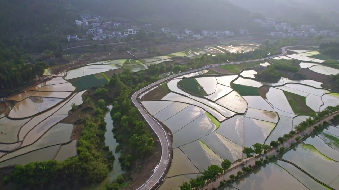 万峰林插秧季节稻谷稻田视频素材