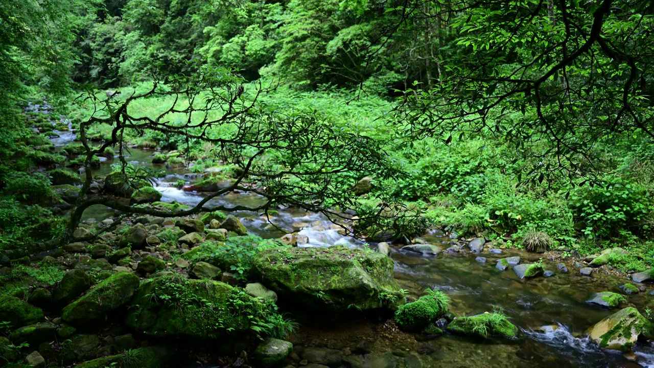 山涧溪水视频下载