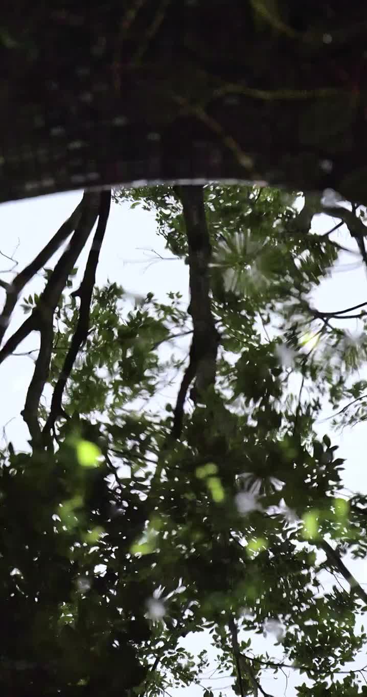 俯拍   水面倒影  下雨天  水波纹   水面反光视频素材