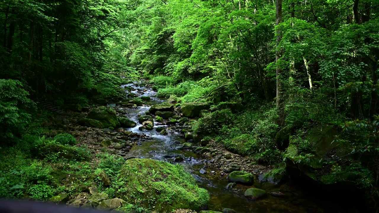 山涧溪水视频素材