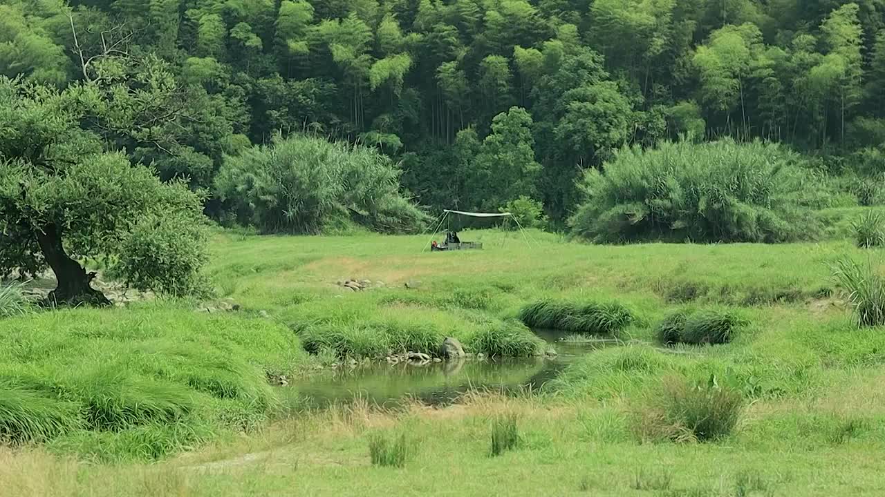 森林溪流草坪上露营的人视频素材