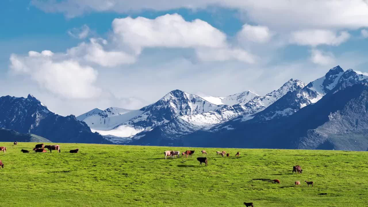 天山牧场草原雪山延时视频素材