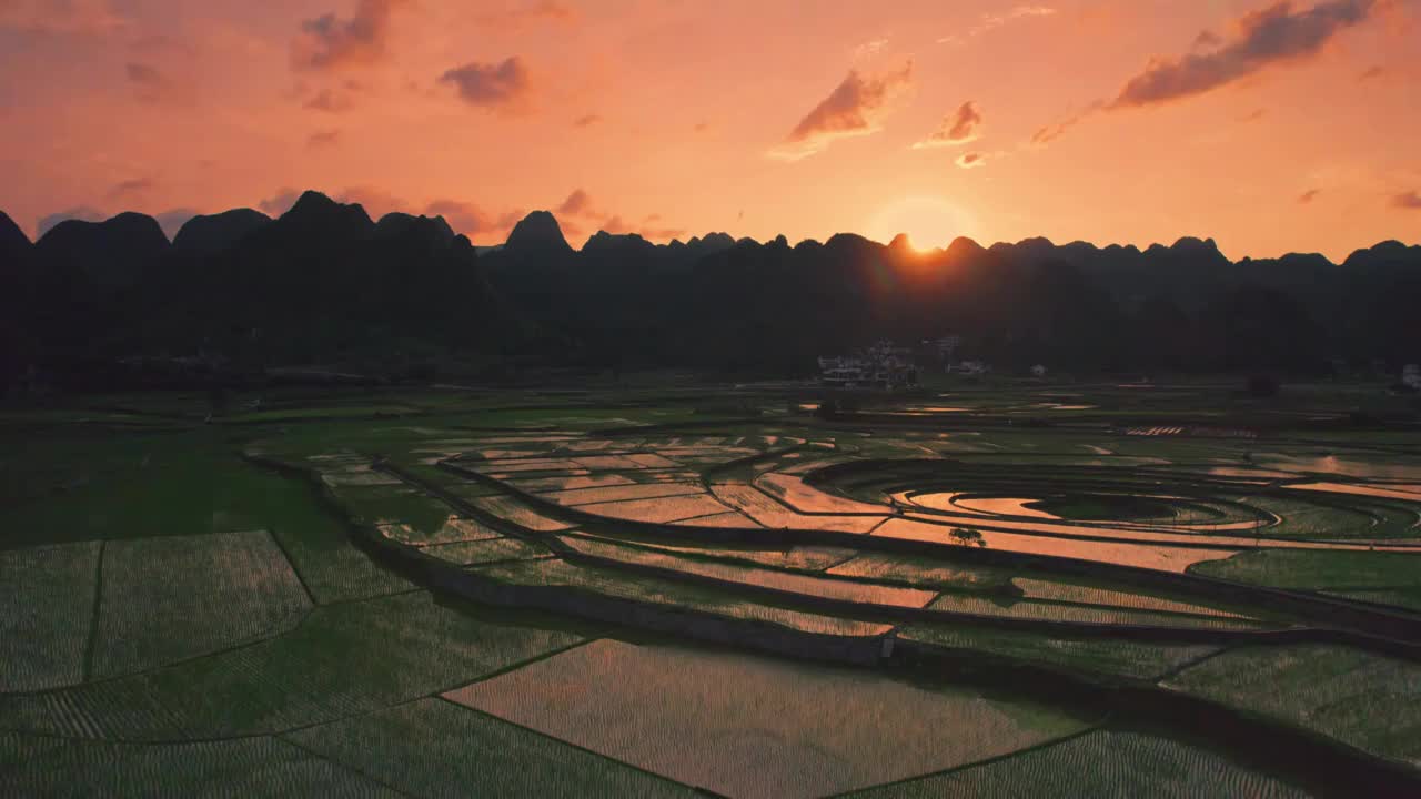 万峰林八卦田稻田视频素材